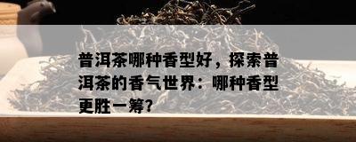 普洱茶哪种香型好，探索普洱茶的香气世界：哪种香型更胜一筹？