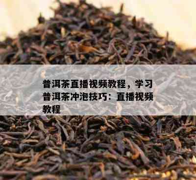 普洱茶直播视频教程，学习普洱茶冲泡技巧：直播视频教程