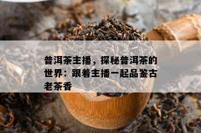 普洱茶主播，探秘普洱茶的世界：跟着主播一起品鉴古老茶香