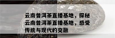 云南普洱茶直播基地，探秘云南普洱茶直播基地，感受传统与现代的交融