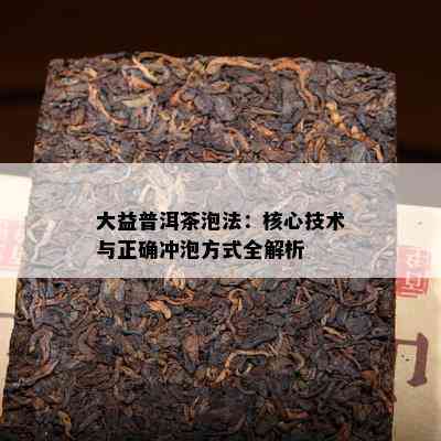 大益普洱茶泡法：核心技术与正确冲泡方式全解析