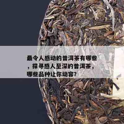 最令人感动的普洱茶有哪些，探寻感人至深的普洱茶，哪些品种让你动容？