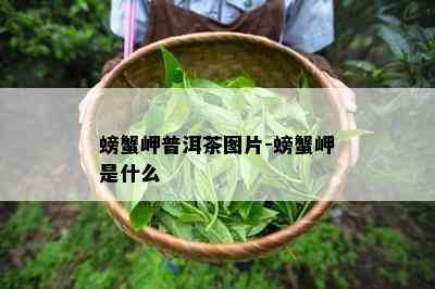 螃蟹岬普洱茶图片-螃蟹岬是什么