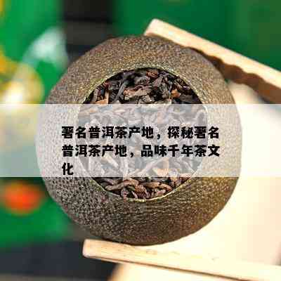 著名普洱茶产地，探秘著名普洱茶产地，品味千年茶文化