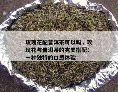 玫瑰花配普洱茶可以吗，玫瑰花与普洱茶的完美搭配：一种独特的口感体验