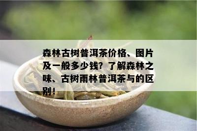 森林古树普洱茶价格、图片及一般多少钱？了解森林之味、古树雨林普洱茶与的区别！