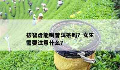 拔智齿能喝普洱茶吗？女生需要留意什么？