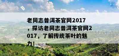 老同志普洱茶官网2017，探访老同志普洱茶官网2017，了解传统茶叶的魅力！