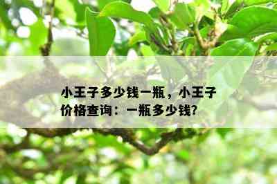 小王子多少钱一瓶，小王子价格查询：一瓶多少钱？