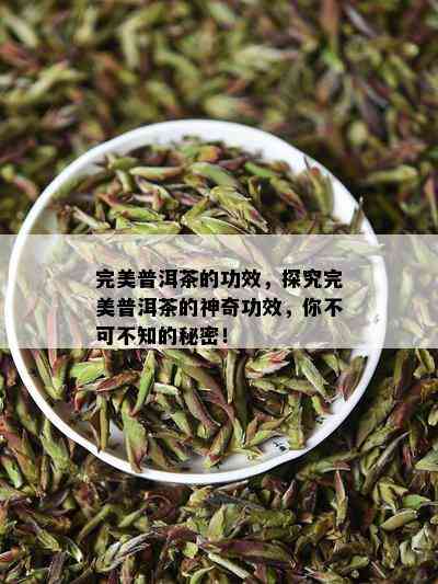 完美普洱茶的功效，探究完美普洱茶的神奇功效，你不可不知的秘密！