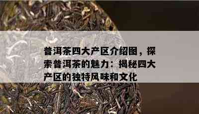 普洱茶四大产区介绍图，探索普洱茶的魅力：揭秘四大产区的特别风味和文化