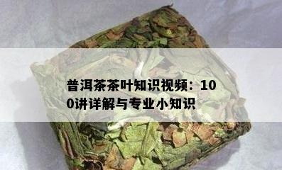 普洱茶茶叶知识视频：100讲详解与专业小知识