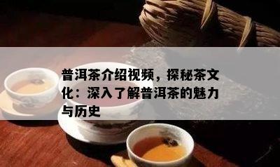 普洱茶介绍视频，探秘茶文化：深入熟悉普洱茶的魅力与历史