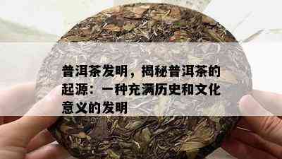 普洱茶发明，揭秘普洱茶的起源：一种充满历史和文化意义的发明