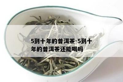 5到十年的普洱茶-5到十年的普洱茶还能喝吗