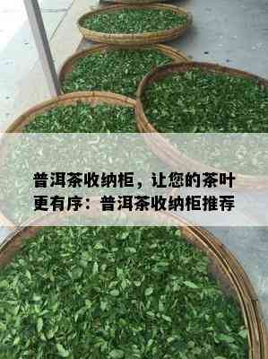 普洱茶收纳柜，让您的茶叶更有序：普洱茶收纳柜推荐