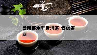 云南芸水轩普洱茶-云水茶业