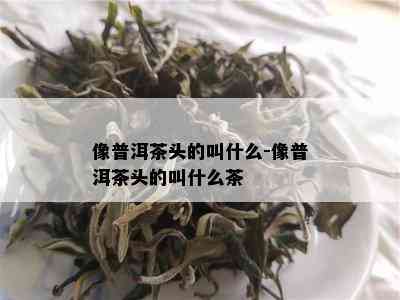 像普洱茶头的叫什么-像普洱茶头的叫什么茶