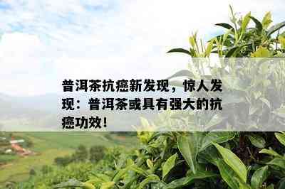 普洱茶抗癌新发现，惊人发现：普洱茶或具有强大的抗癌功效！