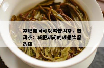 减肥期间可以喝普洱茶，普洱茶：减肥期间的理想饮品选择