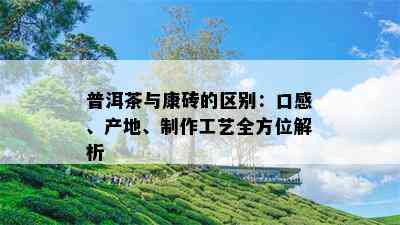 普洱茶与康砖的区别：口感、产地、制作工艺全方位解析