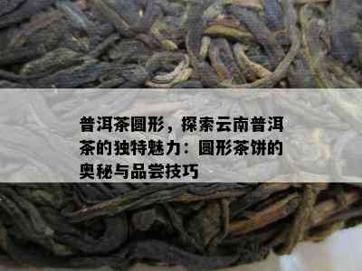 普洱茶圆形，探索云南普洱茶的特别魅力：圆形茶饼的奥秘与品尝技巧