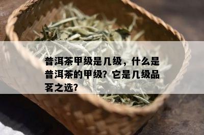 普洱茶甲级是几级，什么是普洱茶的甲级？它是几级品茗之选？