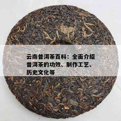 云南普洱茶百科：全面介绍普洱茶的功效、制作工艺、历史文化等