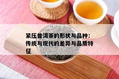 紧压普洱茶的形状与品种：传统与现代的差异与品质特征