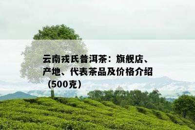 云南戎氏普洱茶：旗舰店、产地、代表茶品及价格介绍（500克）