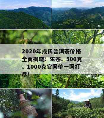 2020年戎氏普洱茶价格全面揭晓：生茶、500克、1000克官网价一网打尽！