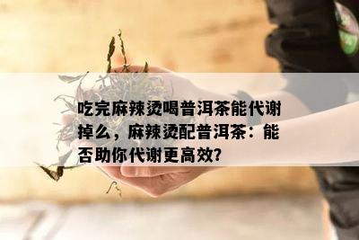 吃完麻辣烫喝普洱茶能代谢掉么，麻辣烫配普洱茶：能否助你代谢更高效？