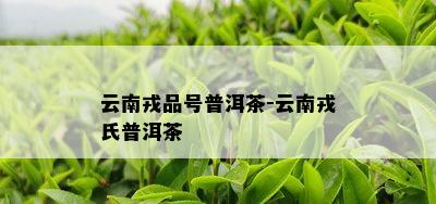 云南戎品号普洱茶-云南戎氏普洱茶