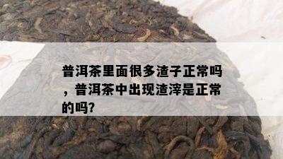 普洱茶里面很多渣子正常吗，普洱茶中出现渣滓是正常的吗？