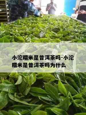 小沱糯米是普洱茶吗-小沱糯米是普洱茶吗为什么