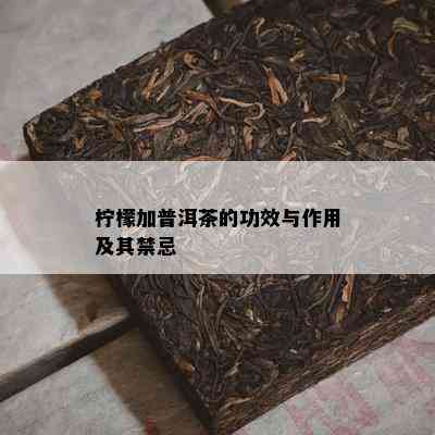 柠檬加普洱茶的功效与作用及其禁忌