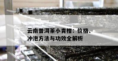 云南普洱茶小青柑：价格、冲泡方法与功效全解析