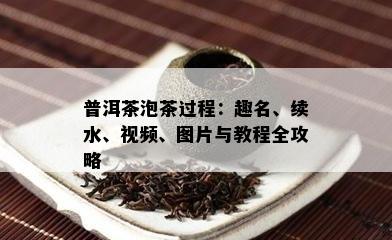 普洱茶泡茶过程：趣名、续水、视频、图片与教程全攻略