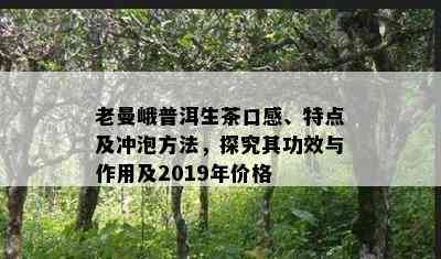 老曼峨普洱生茶口感、特点及冲泡方法，探究其功效与作用及2019年价格