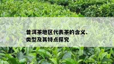 普洱茶地区代表茶的含义、类型及其特点探究