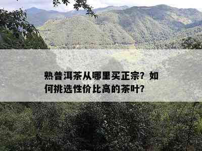 熟普洱茶从哪里买正宗？怎样挑选性价比高的茶叶？