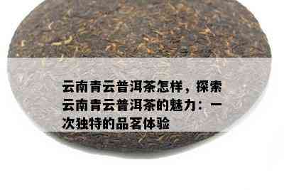 云南青云普洱茶怎样，探索云南青云普洱茶的魅力：一次特别的品茗体验