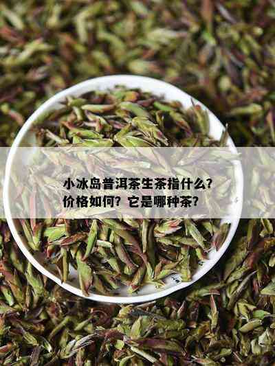 小冰岛普洱茶生茶指什么？价格怎样？它是哪种茶？