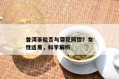 普洱茶能否与菊花同饮？女性适用，科学解析