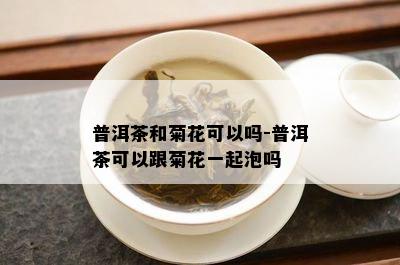 普洱茶和菊花可以吗-普洱茶可以跟菊花一起泡吗