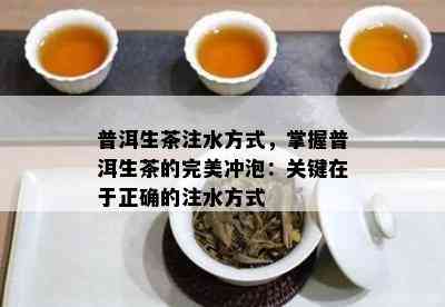 普洱生茶注水方法，掌握普洱生茶的完美冲泡：关键在于正确的注水方法