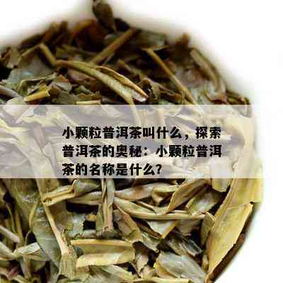 小颗粒普洱茶叫什么，探索普洱茶的奥秘：小颗粒普洱茶的名称是什么？