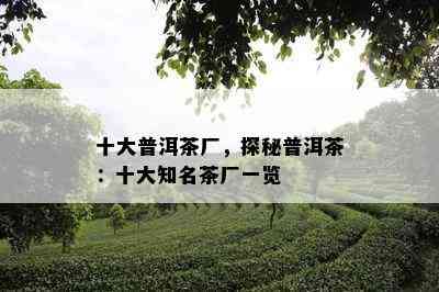 十大普洱茶厂，探秘普洱茶：十大知名茶厂一览