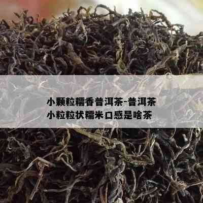 小颗粒糯香普洱茶-普洱茶小粒粒状糯米口感是啥茶