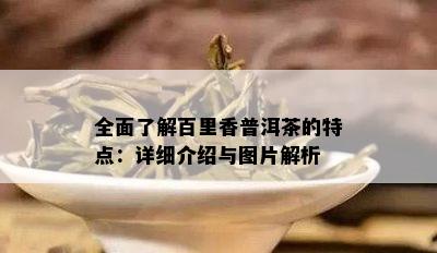 全面熟悉百里香普洱茶的特点：详细介绍与图片解析